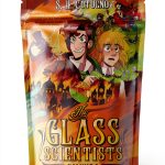 The Glass Scientists Book 3 by G.P. Putnam's Sons Books for Young-0